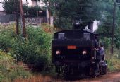 1995 - Hodice: nečekané překvapení na trati © Mixmouses