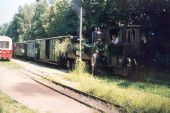 1995 - Jindřichův Hradec: návrat svatebního vlaku © Mixmouses