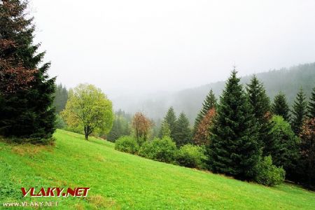 Pressnitztalbahn a Fichtelbergbahn (2)