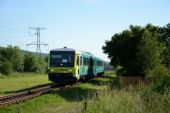 07.06.2014 - Vikýřovice u penzionu: 845.001, Os13774 © Radek Hořínek