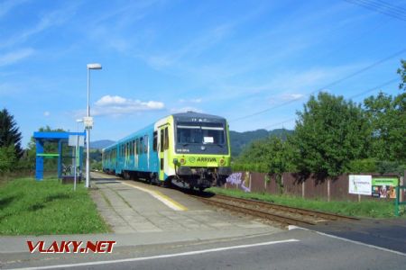 07.06.2014 - Vikýřovice u penzionu: 945.001, Os13774 © Radka Hořínková