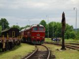 Kremnica, 31.5.2014 © Kamil Korecz