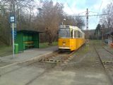 Budapešť: kloubová tramvaj Ganz stojí na konečné linky 41 Kámaraerdei Ifjúsági Park, která nezapře svou železniční minulost	7.12.2013	 © Aleš Svoboda