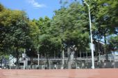 19.06.2014 - Barcelona: projíždíme kolem Estació de França (foto z autobusu) © PhDr. Zbyněk Zlinský