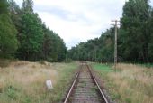 10.08.2014 - Łeba: Prvé priecestie medzi stanicami Leba a Steknica © Lukáš Holeš