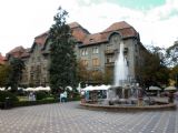 24.8.2014 - Temešvár, centrum © Marek Vojáček