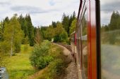 29.08.2014 - Šumava: trať do Černého Kříže © Jiří Řechka