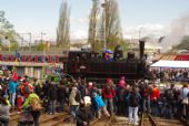 18.4.2015 - Košice: Predvádza sa malý býček 422 0108 © Ondrej Krajňák