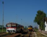 S pravidelným vlakom, Veľké Bielice, 18.4.2014 © Kamil Korecz
