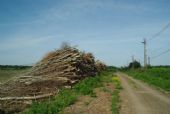 20.05.2015 - Výh. Hrinište: Skládka vyťaženého dreva z okolia trate © Ondrej Krajňák