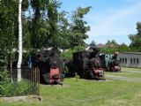 Sochaczew, lokomotivy CBK8 z r. 1926, WKD66 z r. 1916 a CK22 z r.1893, 6.6.2015 © Jiří Mazal