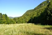 01.08.2015 - na trati: tady kdysi vedla původní trať, dnes vede přeložkou přes tunel © Martin Skopal