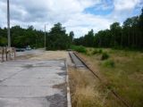 12.7.2015 - Sobibór, kolej, na kterou přijížděly transporty © Marek Vojáček