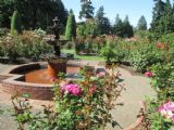 13.7.2015- Portland, OR- Portland Rose Gardens- prechádzka ružovou záhradou © Juraj Földes