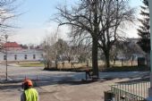 25.02.2016 - žst. Smiřice: v pohledu na výpravní budovu bránící strom půjde k zemi © PhDr. Zbyněk Zlinský