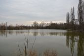 27.2.2016 - Čelechovice na Hané: další rybník © Martin Skopal