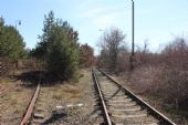 27.03.2016 - Hradec Kr.-Březhrad: zrušenou vlečku SALMA už znám, teď se vydám na ''funkční'' V4238 CFG © PhDr. Zbyněk Zlinský