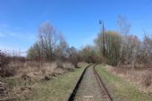 27.03.2016 - Hradec Kr.-Březhrad, vlečka Průmstav: ... a nese stopy mýcení dřevin ... © PhDr. Zbyněk Zlinský