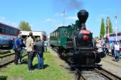 16.04.2016 - Košice: O vozenie sa vo vozni ťahanom Katkou je veľký záujem © Ondrej Krajňák