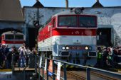 16.04.2016 - Košice: Jeden z najnovších rekookuliarnikov © Ondrej Krajňák