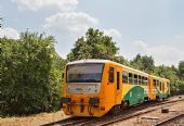 25.6.2016 - Bečváry: 814.185, Os 22207 © Jiří Řechka