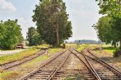 25.6.2016 - Bošice: bečvárskokouřimské zhlaví© Jiří Řechka