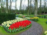 Keukenhof: tulipánový park © Tomáš Kraus, 16.4.2016