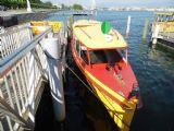 Ženeva: téměř historická loď číslo 5 společnosti SMNG čeká v přístavišti Port Noir na jižním břehu jezera na odjezd linky M3, 26.6.2014 © Jan Přikryl