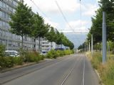 Ženeva: samostatné tramvajové těleso na ulici Rue de Livron uprostřed sídliště Meyrin, 26.6.2014 © Jan Přikryl