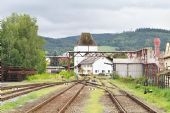 14.7.2016 - Moravská Třebová: chornické zhlaví  © Jiří Řechka