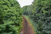 15.7.2016 - Furth im Wald: trať do Domažlic © Jiří Řechka