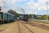 10.09.2016 - Rokytnice v O.h.: 464.008 + T 435.040 (720.040-5) odvážejí 19 min. opožděný Os 10742 do Doudleb n.O., vlevo 810.578-5 © PhDr. Zbyněk Zlinský