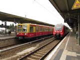 9.8.2016 - Königs Wusterhausen: Talent 2 DB Regio 442.620 a nejstarší S-Bahn řady 485 © Dominik Havel