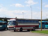 Michalovce, autobus Setra do Užhorodu, 3.8.2016 © Jiří Mazal