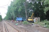 Traťová kolej mezi stanicemi Čermná nad Orlicí a Borohrádek už bez výhybek, po vlečce zbývá už jen zbytek stavědla; 27.7.2016 ©Martin Kalousek