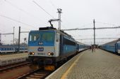 23.11.2016 - Č.Budějovice: 362.085-3 v čele R 644 ''Lužnice'' Č.Budějovice - Praha-Holešovice a Jiří Řechka © PhDr. Zbyněk Zlinský