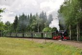 Vlak Fichtelbergbahn s lokomotivou 99.1793 u Kretschamu; 3.7.2016 © Pavel Stejskal