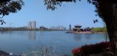 YingShang - park a pagoda. 3.2016 © F. Smatana