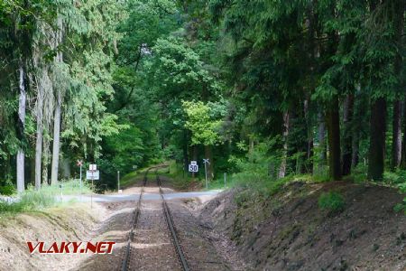 17.6.2017 - trať do Týna nad Vltavou: na trati © Jiří Řechka