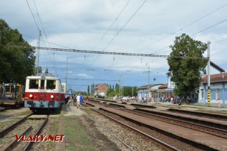 19.8.2017 - Šaľa: Pripravujeme sa na odchod do Nededu © Ondrej Krajňák