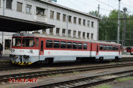 19.8.2017 - Zvolen: Stará bageta 913 006-3/813 006-8 © Ondrej Krajňák