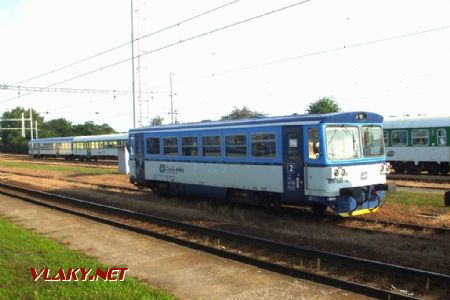 26.8.2017 - Chlumec n.C.: 810 039-8 © Pavel Šmídek