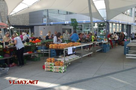 26.8.2017 - Hradec Králové: zastřešení tržnice u Tesca od architekta Martina Hájka © Pavel Šmídek