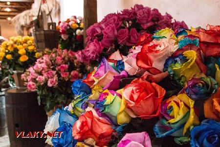 2017 – Vrorky výrobcu (pestovateľa) ruží, Ayora, obl. Cayambe, Ekvádor © Tomáš Votava