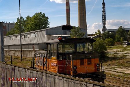 14.8.2017 - Boří Les, FOSFA: 704.704 © Jiří Řechka