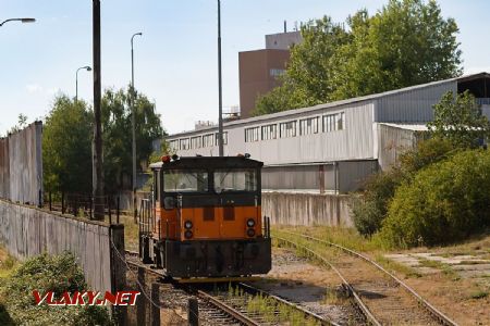 14.8.2017 - Boří Les, FOSFA: 704.704 © Jiří Řechka