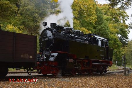 Mägdesprung, HSB 99.6001 ve stanici; 2.10.2017 © Pavel Stejskal