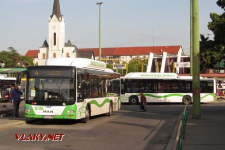 Miskolc: autobusy MAN Lion´s City před odjezdem z terminálu MHD Búza tér, 28.09.2017 © Dominik Havel