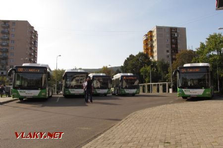 Miskolc: setkání pěti autobusů typu MAN Lion´s City na konečné Felső-Majláth patří ke každodenní podívané, 28.09.2017 © Dominik Havel