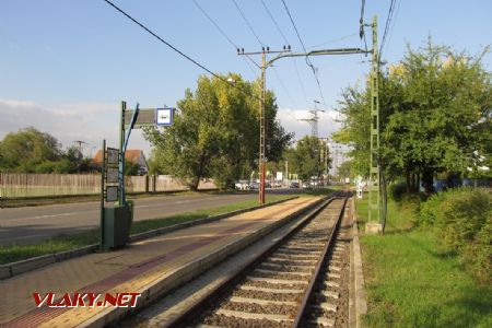 Szeged: celkový pohled na rekonstruovanou výchozí zastávku linky 3F Fonógyári út, 29.09.2017 © Dominik Havel